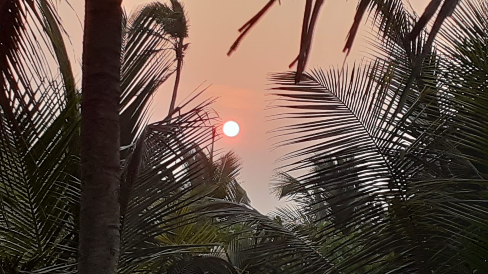 Goa Sonnenuntergang