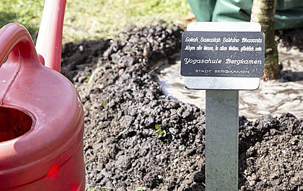 Start 3 k IMG 0003 003